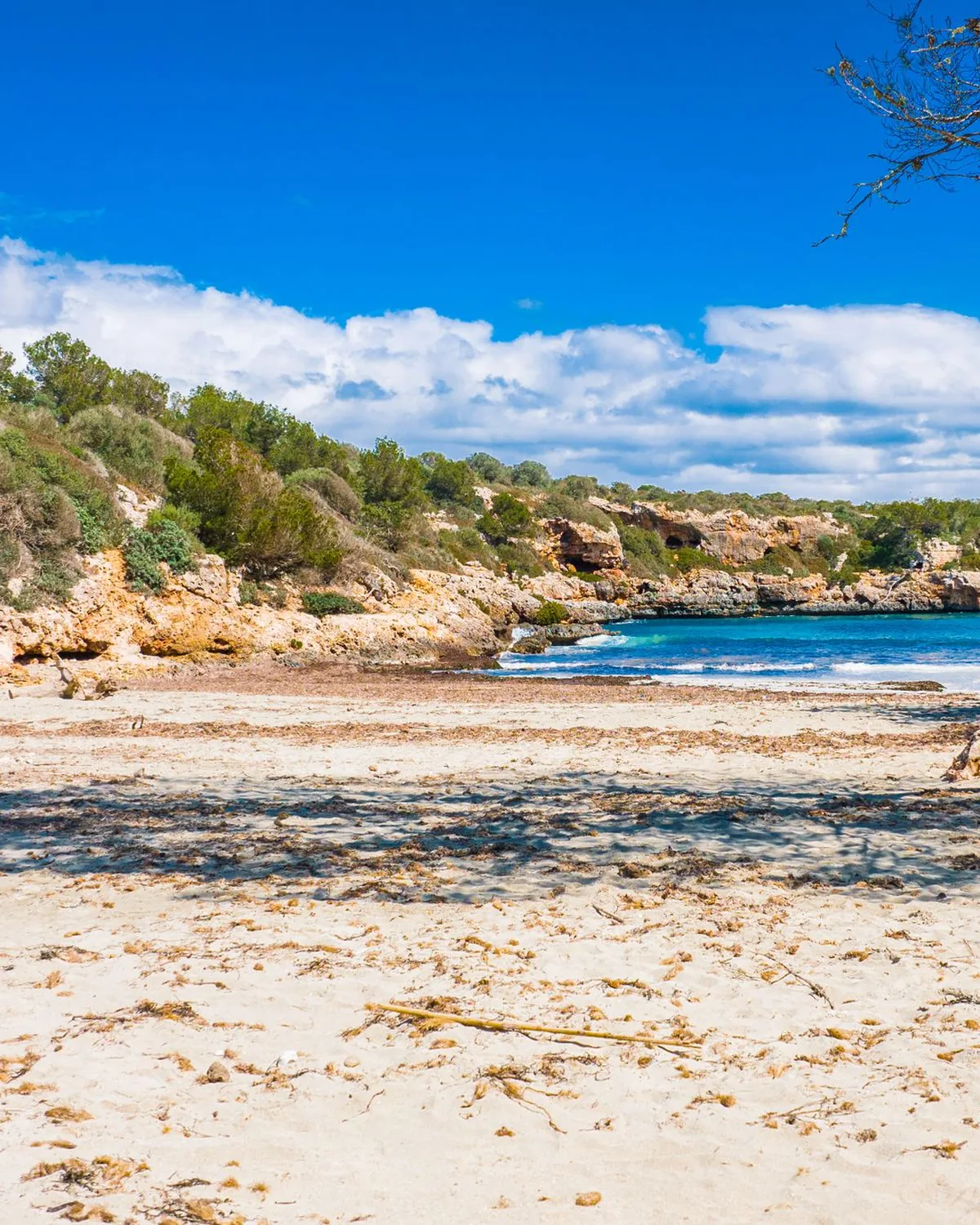 Cala Varqués, a hidden sandy cove with turquoise water in Mallorca