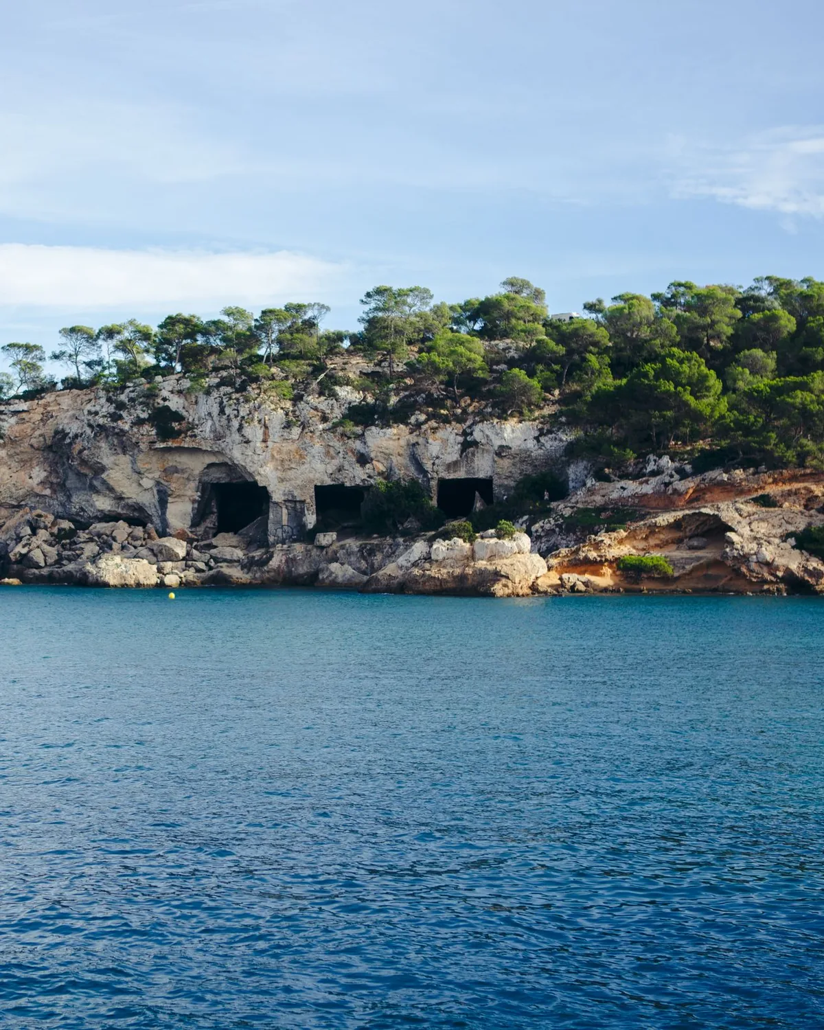 Pine-covered headland and sea caves above a Mallorcan bay